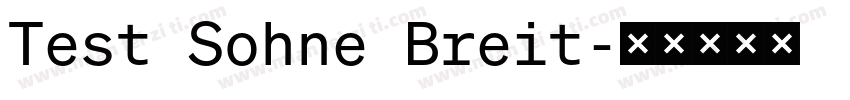Test Sohne Breit字体转换